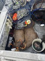 IMG_0102.jpeg IMG_0102.jpeg