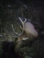 20251101_184744.jpg 20251101_184744.jpg