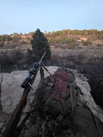 20251102_173152.jpg 20251102_173152.jpg