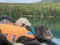 A Ruff Day on the River.jpg