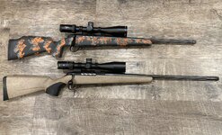 IMG_2838.jpeg IMG_2838.jpeg