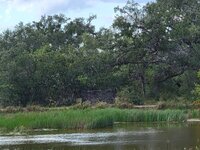 Tank Ground Blind.jpg