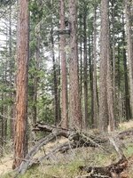 1000003541.jpg 1000003541.jpg