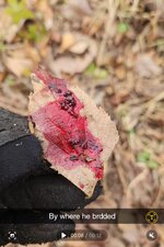 Screenshot_20251108_165125_Gallery.jpg Screenshot_20251108_165125_Gallery.jpg