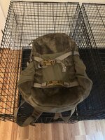 IMG_2443.jpeg
