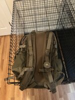IMG_2444.jpeg