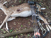 Screenshot 2025-11-10 5.10.39 PM.png