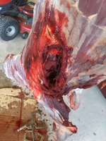 1762961804415.png 1762961804415.png