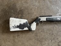 IMG_7286.jpeg IMG_7286.jpeg