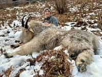 IMG_3521.jpg IMG_3521.jpg