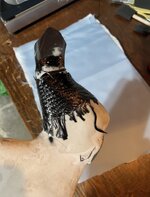 IMG_0336.jpg IMG_0336.jpg