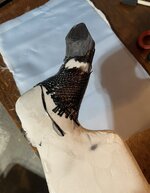 IMG_0335.jpg IMG_0335.jpg