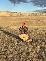 IMG_0152.jpeg IMG_0152.jpeg