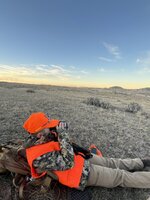 IMG_0154.jpeg IMG_0154.jpeg