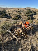 IMG_0160.jpeg IMG_0160.jpeg