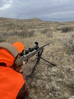 IMG_0168.jpeg IMG_0168.jpeg