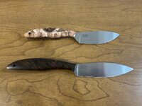 IMG_3361.jpeg IMG_3361.jpeg