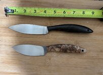 IMG_3369.jpeg IMG_3369.jpeg