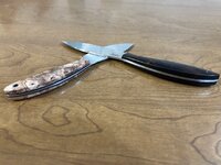 IMG_3364.jpeg IMG_3364.jpeg