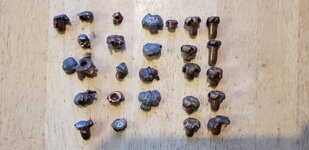Recovered bullets.jpg