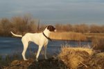 20181209_155326.jpg