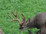 DSCN5548.JPG