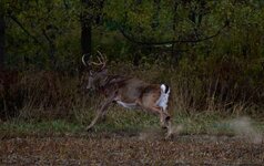 Screenshot 2025-10-31 at 12.13.07 AM.jpeg