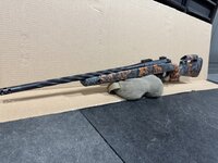 IMG_3273.jpeg IMG_3273.jpeg