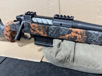 IMG_3278.jpeg IMG_3278.jpeg