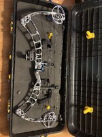 IMG_4960.jpeg IMG_4960.jpeg