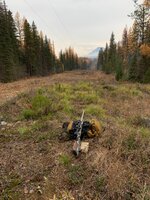 IMG_7873.jpeg IMG_7873.jpeg