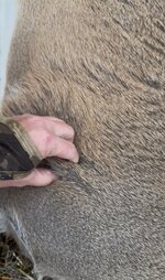 IMG_2978.jpeg IMG_2978.jpeg