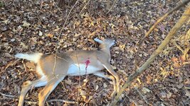 20251115_082342(0).jpg 20251115_082342(0).jpg