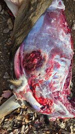 20251115_094347.jpg 20251115_094347.jpg