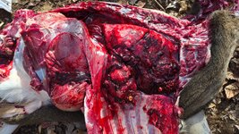 20251115_095515.jpg 20251115_095515.jpg