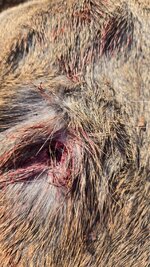 20251115_095957.jpg 20251115_095957.jpg