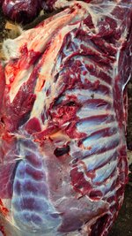 20251115_101637.jpg 20251115_101637.jpg