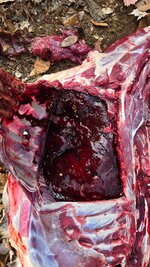 20251115_101844.jpg 20251115_101844.jpg