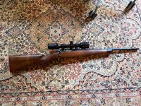 IMG_0866.jpeg IMG_0866.jpeg