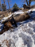 IMG_6186.jpeg IMG_6186.jpeg