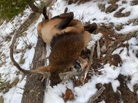 IMG_0884.jpeg IMG_0884.jpeg