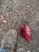 IMG_2993.jpeg IMG_2993.jpeg