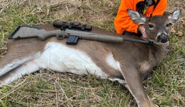 IMG_1314.jpeg IMG_1314.jpeg