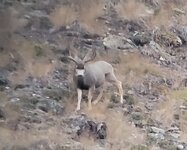 1000008520.jpg 1000008520.jpg