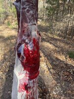 IMG_0878.jpeg IMG_0878.jpeg