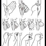 images (17).jpeg images (17).jpeg