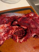 PXL_20251116_040659603.jpg PXL_20251116_040659603.jpg