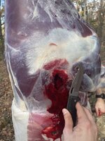 IMG_0876.jpeg IMG_0876.jpeg