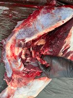 IMG_20250926_110054(1).jpg IMG_20250926_110054(1).jpg