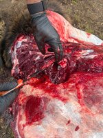 IMG_20250926_093931(1).jpg IMG_20250926_093931(1).jpg